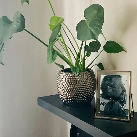 Vakantiehuis Casa Palomera - Casa Completa Con Jardin, Gimnasio Y Garaje Privados León