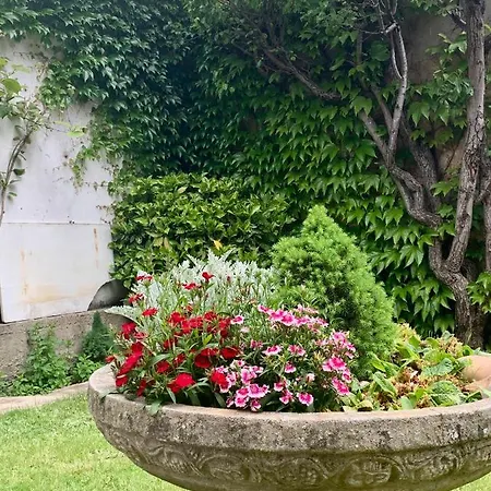 Casa Palomera - Casa Completa Con Jardin, Gimnasio Y Garaje Privados *