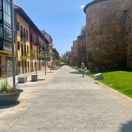 Vakantiehuis Casa Palomera - Casa Completa Con Jardin, Gimnasio Y Garaje Privados