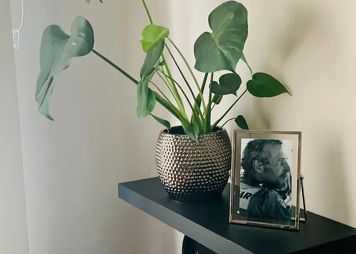 Nyaraló Casa Palomera - Casa Completa Con Jardin, Gimnasio Y Garaje Privados León