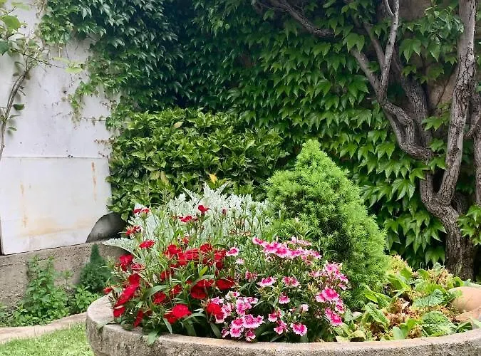 Casa Palomera - Casa Completa Con Jardin, Gimnasio Y Garaje Privados *